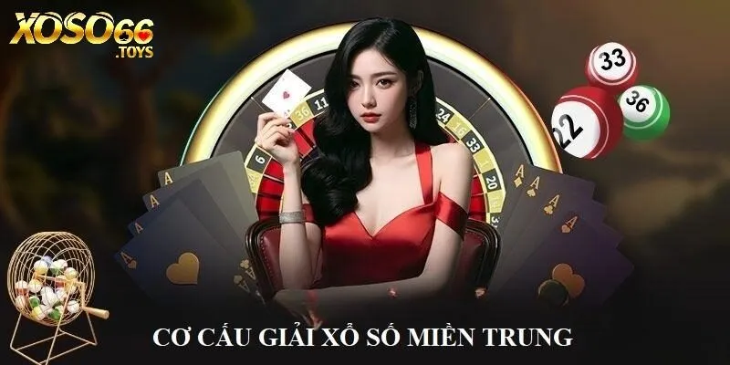 Cơ cấu giải hấp dẫn của sản phẩm XSMT